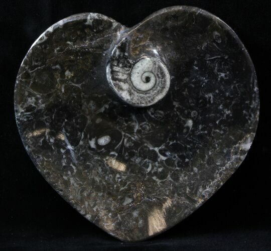 Heart Shaped Fossil Goniatite Dish #39319